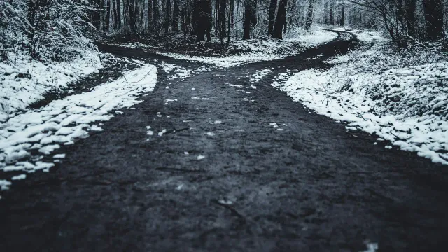 Lesná cesta, ktorá sa rozdvojuje na dva smery medzi stromami
